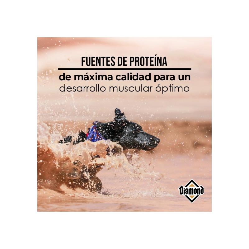 Diamond - Premium Perro Adulto