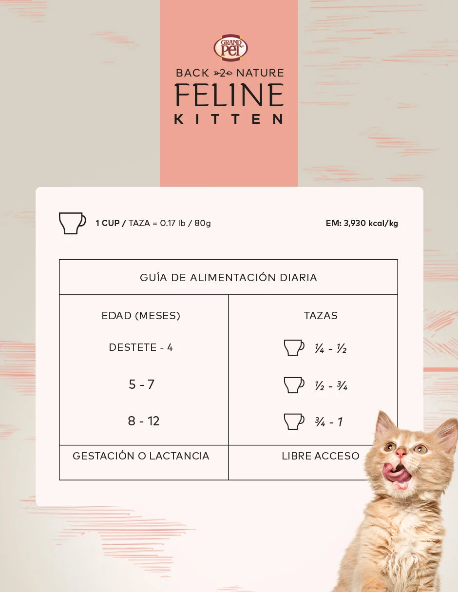 Back 2 Nature Felino Gatito