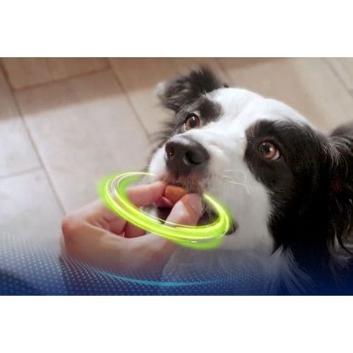 Nexgard Spectra - Perro mediano 7.6 a 15kg