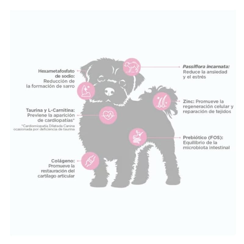 Nupec - Perro Adulto Raza Mini