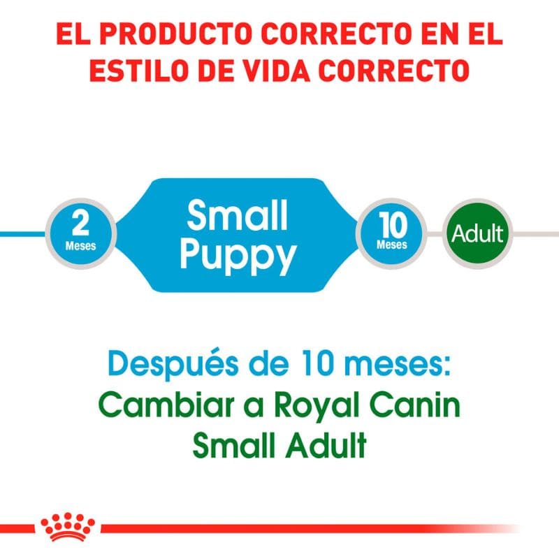 Royal Canin cachorro razas pequeñas 2 A 10 Meses
