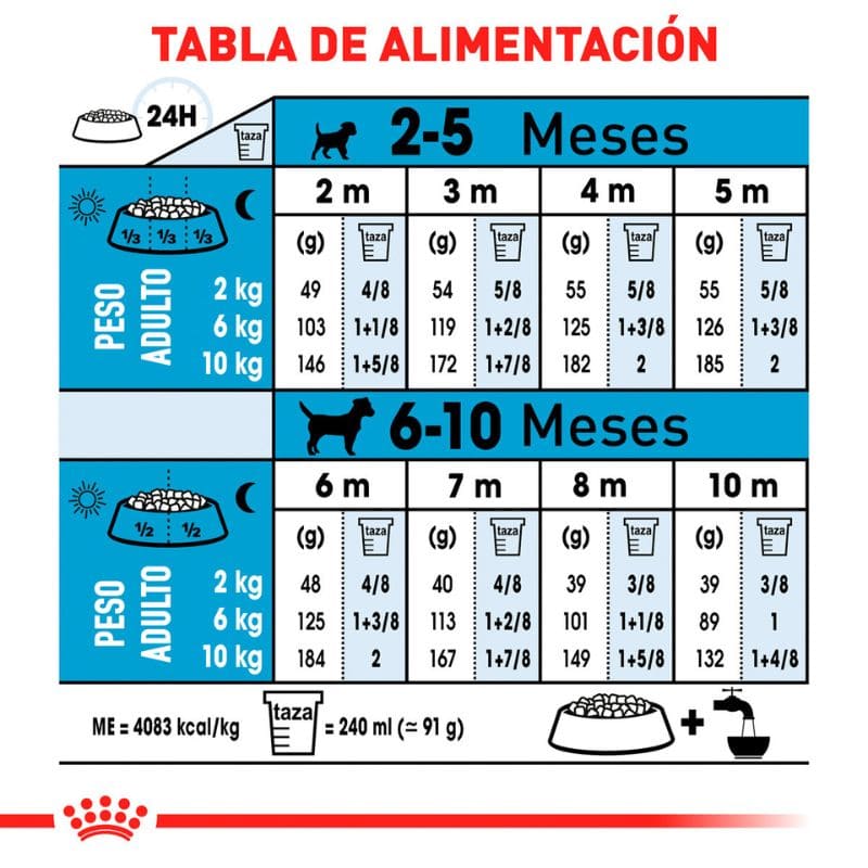 Royal Canin cachorro razas pequeñas 2 A 10 Meses