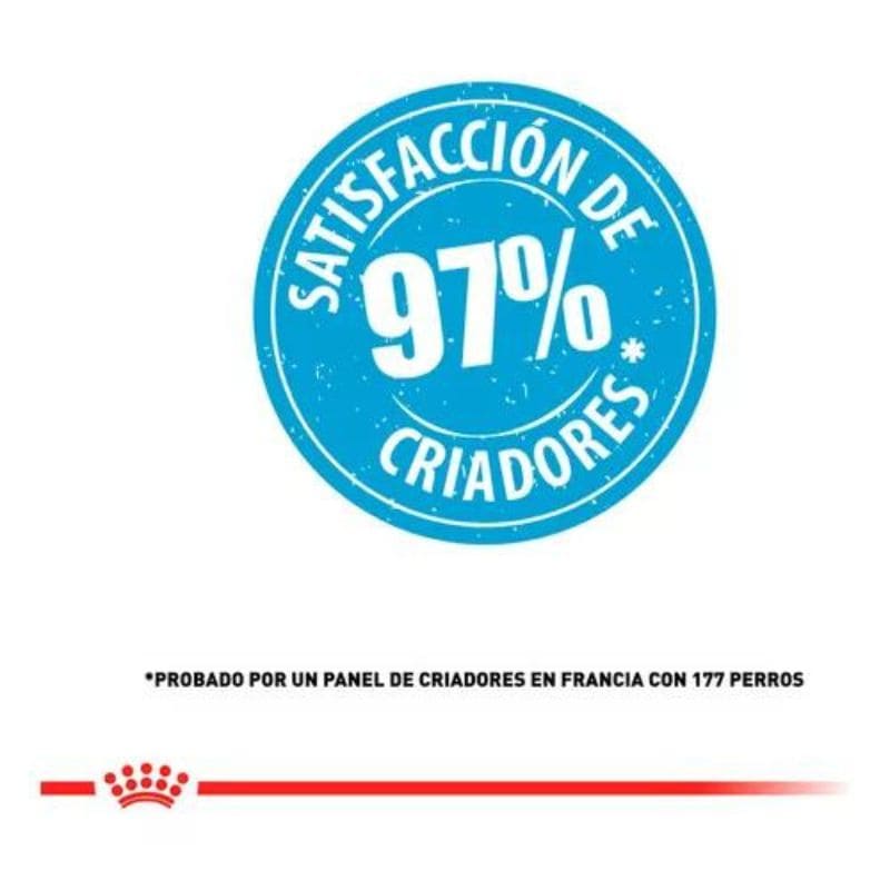 Royal Canin cachorro razas pequeñas 2 A 10 Meses