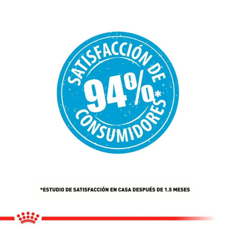 Royal Canin cachorro razas pequeñas 2 A 10 Meses