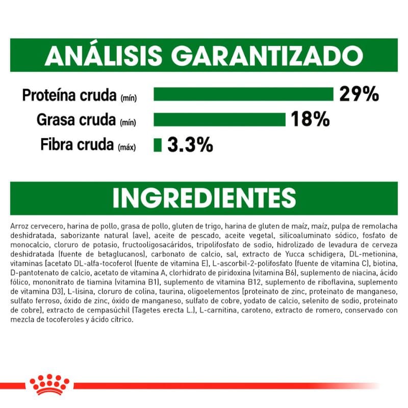 Royal Canin cachorro razas pequeñas 2 A 10 Meses