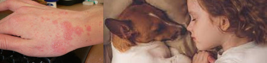 Lombrices intestinales en perros y gatos y (Humanos)