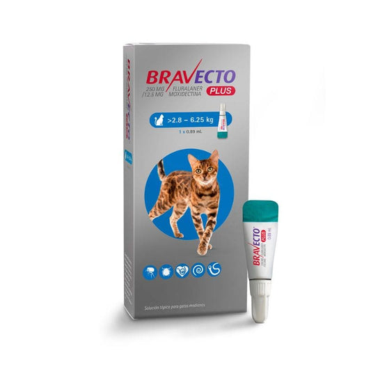 Bravecto Plus Pipeta Desparasitante Externa e Interna para Gato de 2.8 a 6 kg