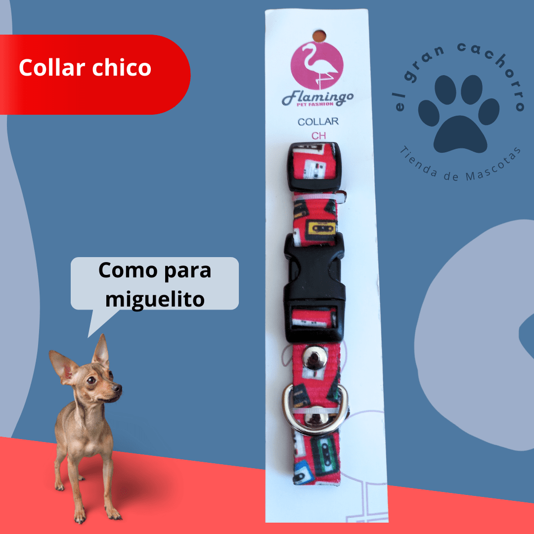 Collar Chico varios estilos