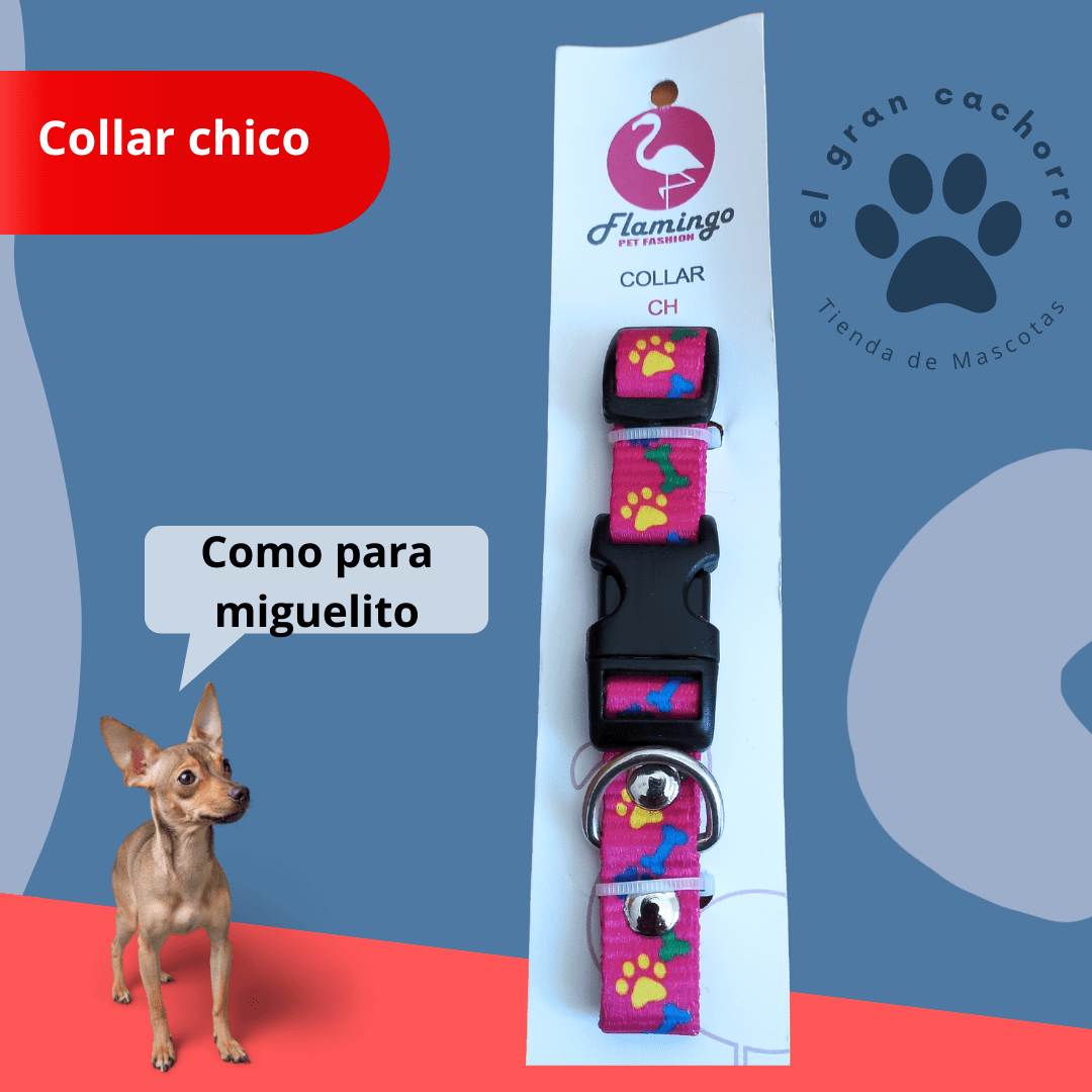 Collar Chico varios estilos