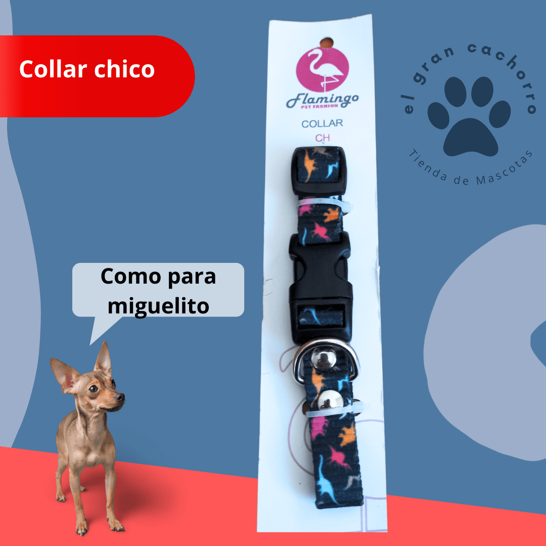 Collar Chico varios estilos