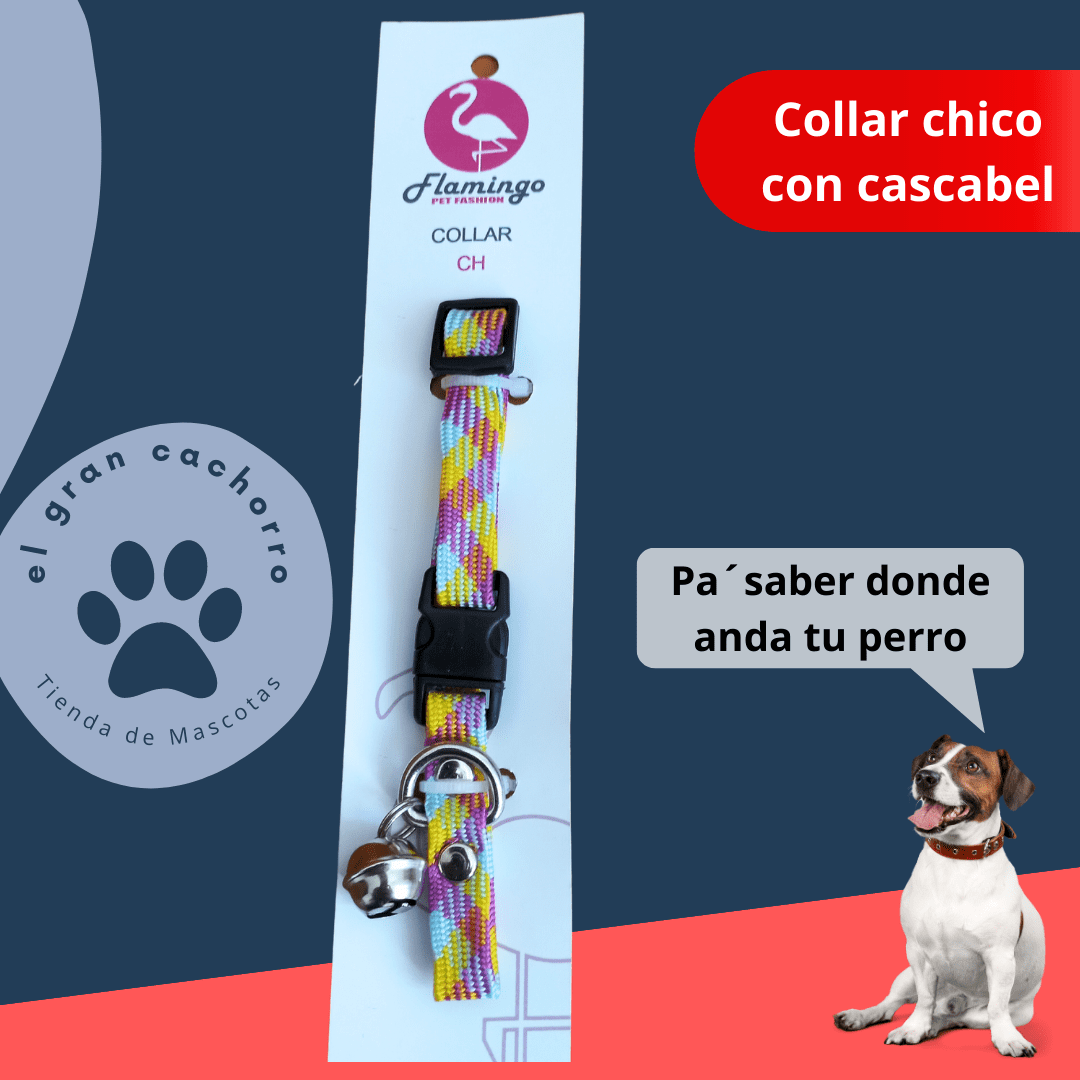 Collar Chico con Cascabel varios estilos