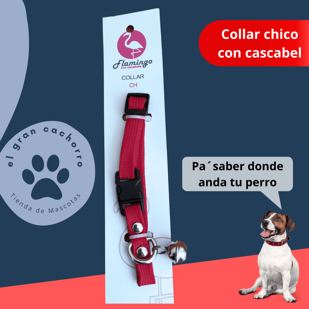 Collar Chico con Cascabel varios estilos