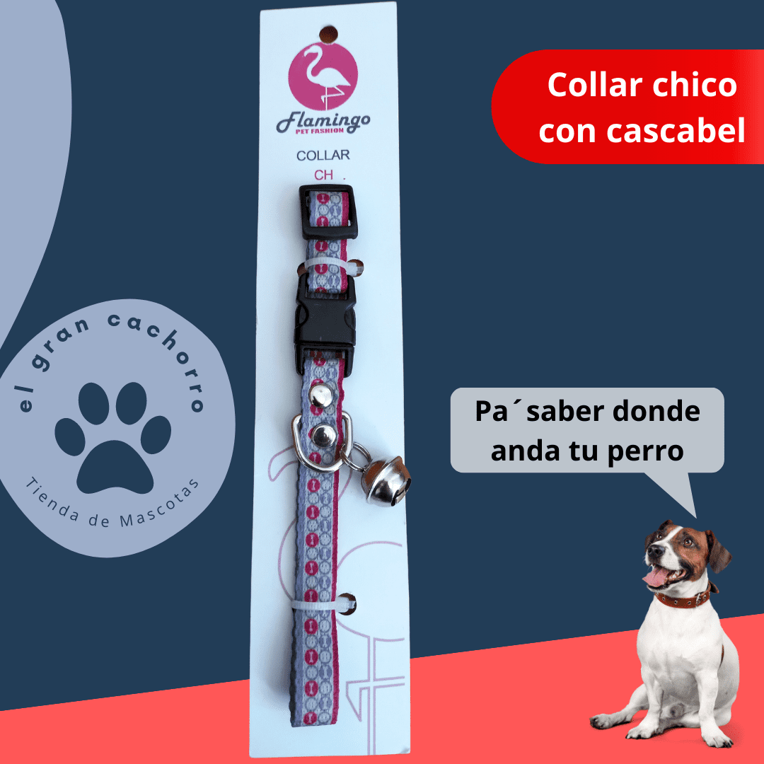 Collar Chico con Cascabel varios estilos