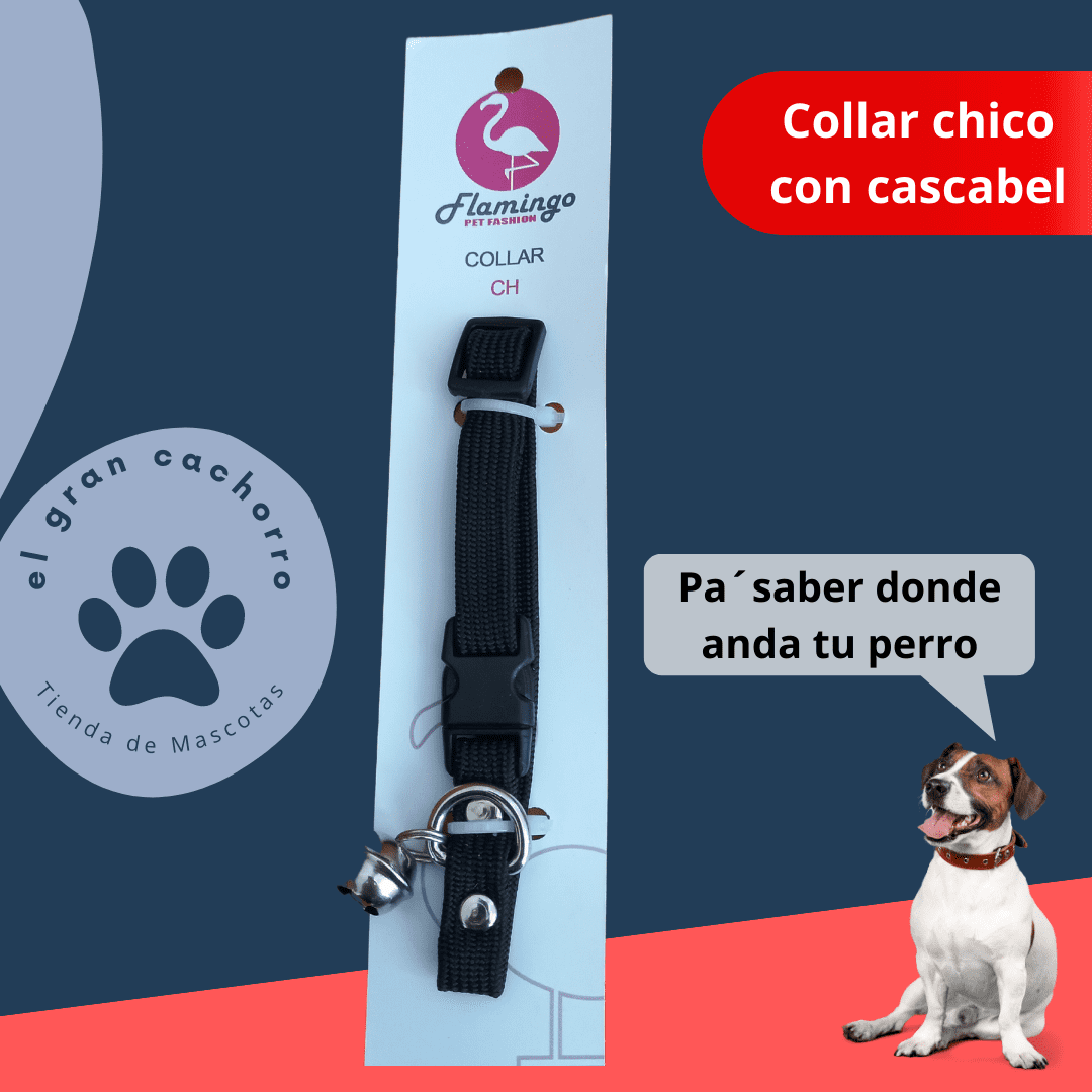 Collar Chico con Cascabel varios estilos