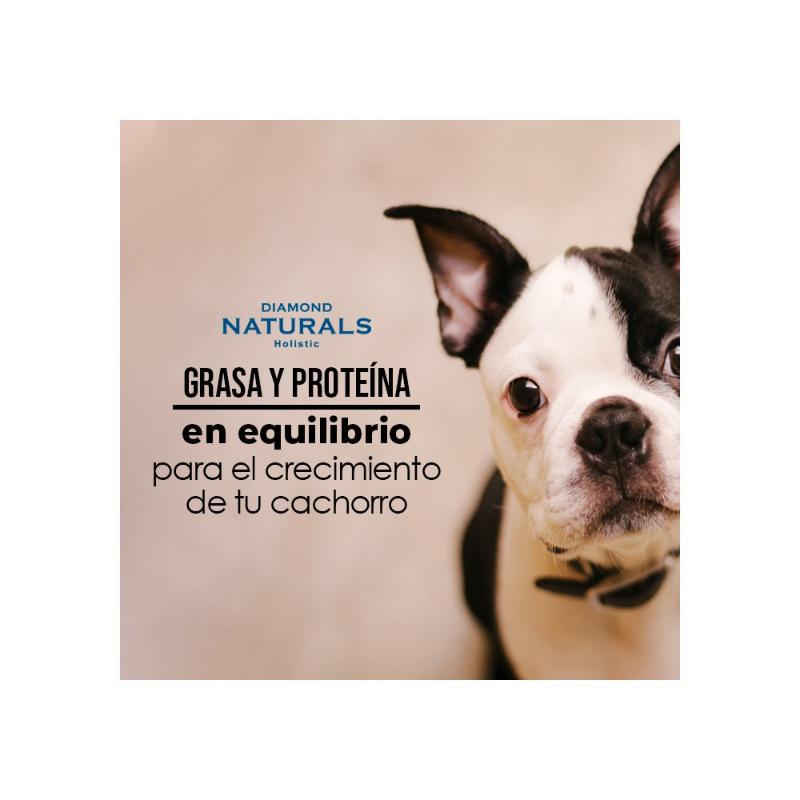 Diamond Naturals - Perro Cachorro Raza Pequeña y Medianas