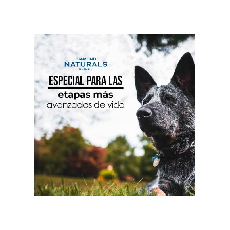 Diamond Naturals Senior Perro Adulto sabor Pollo