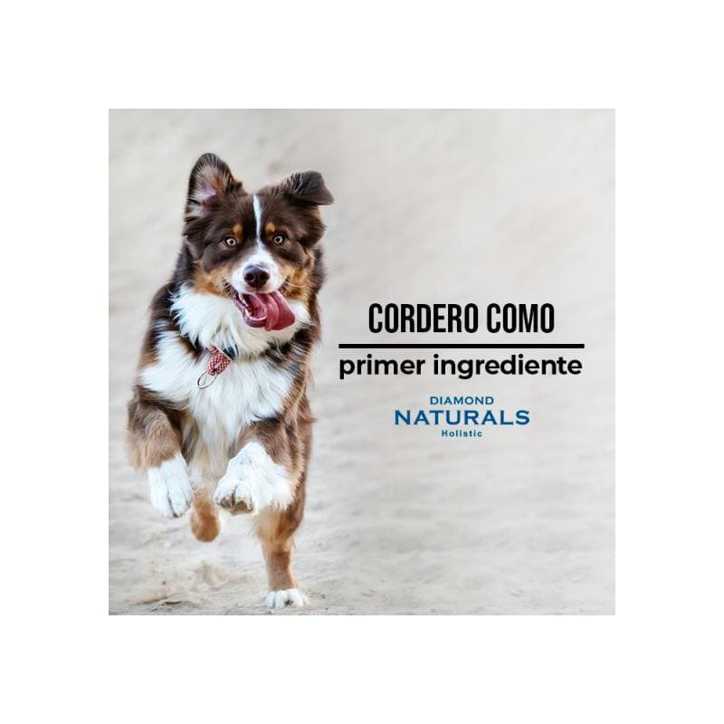 Diamond Naturals - Perro Adulto Sabor Cordero