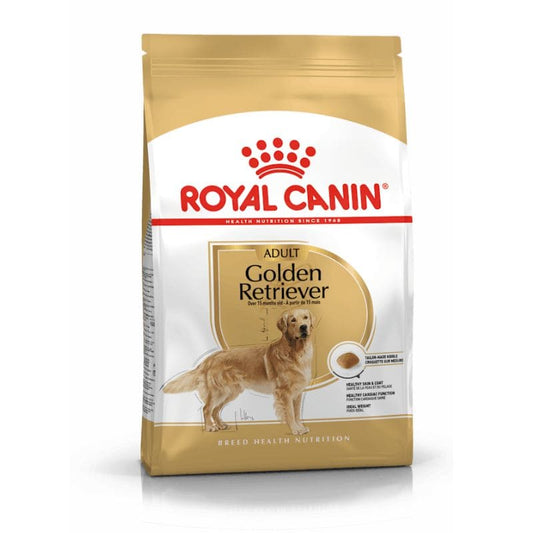 Royal Canin Golden Retriever Adulto