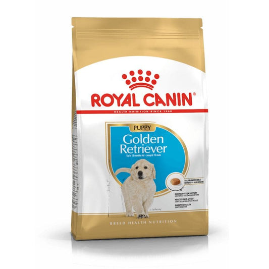 Royal Canin Golden Retriever cachorro