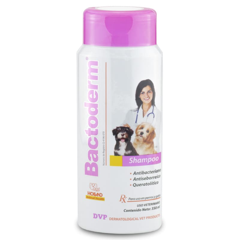 Holland Bactoderm - Shampoo Tratamiento Dermatológico 350 ml – El Gran ...