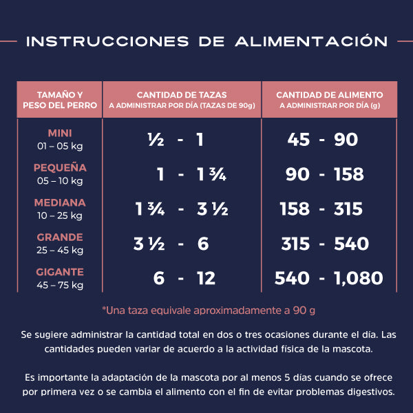 Kantek Veteranos Alimento Holístico Super Premium