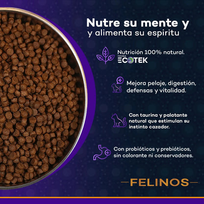 Kantek Felinos Alimento Holístico Super Premium