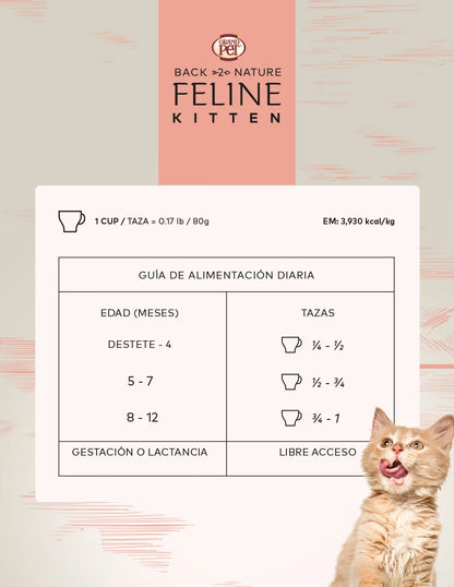Back 2 Nature Felino Gatito