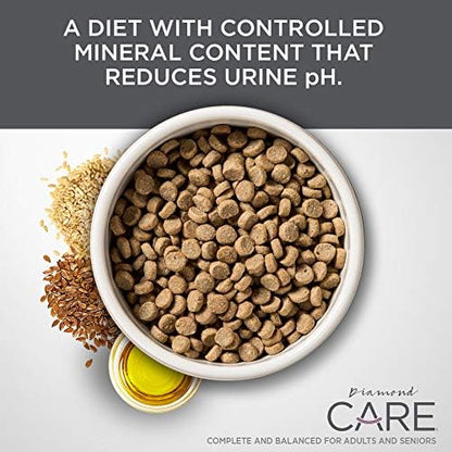Diamond CARE Urinary Support Cats