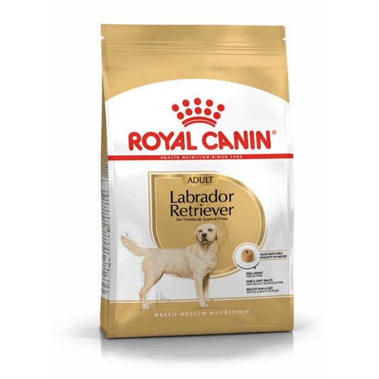 Royal Canin Labrador Retriever Adulto