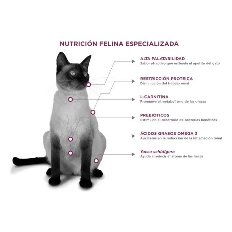 Nupec - Felino Renal Care