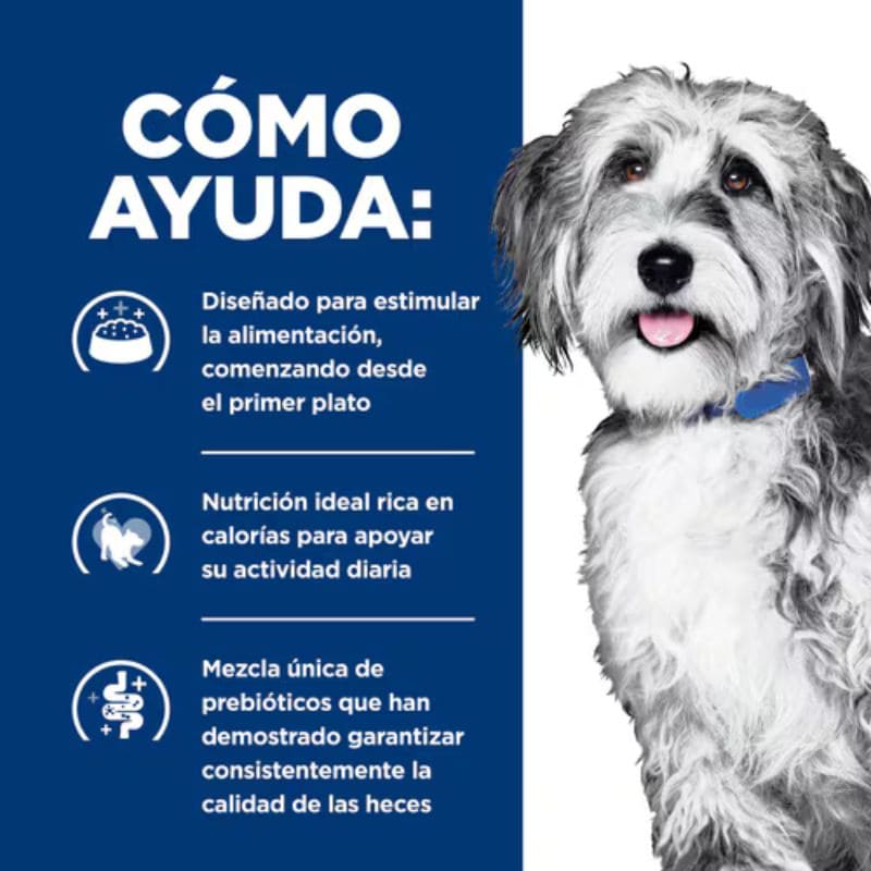 Hill's ONC Care para Perros con Cáncer