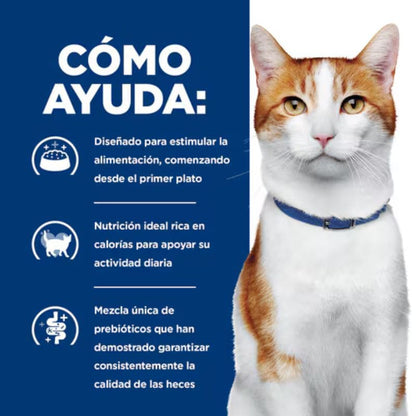 Hill's ONC Care para Gatos con Cáncer