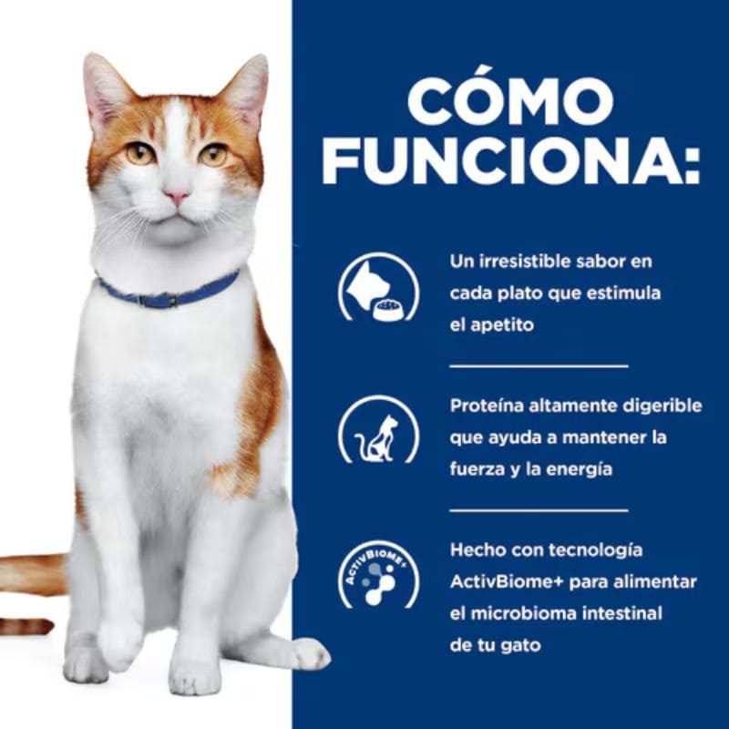 Hill's ONC Care para Gatos con Cáncer