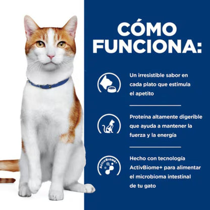 Hill's ONC Care para Gatos con Cáncer