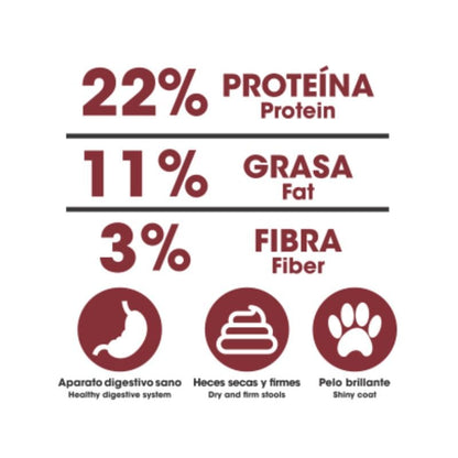 DinaPet Premium para Adulto