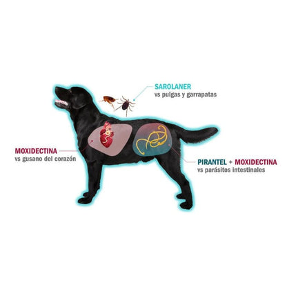 Simparica Trio Masticable Desparasitante Externo e Interno para Perro 40-60 kg, 3 Tabletas