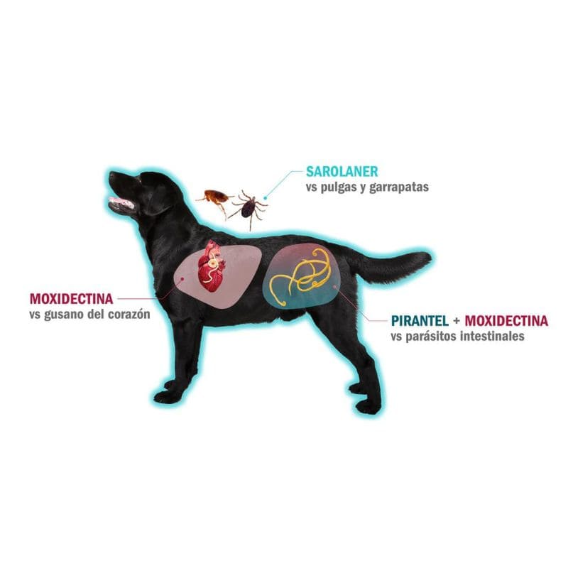 Simparica Trio Masticable Desparasitante Externo e Interno para Perro, 5 - 10 kg. 1 Tableta