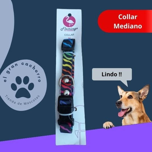 Collar Mediano varios estilos