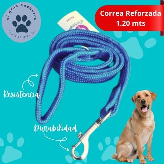 Correa reforzada 1.20 mts varios estilos