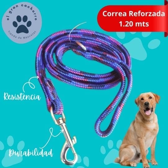 Correa reforzada 1.20 mts varios estilos