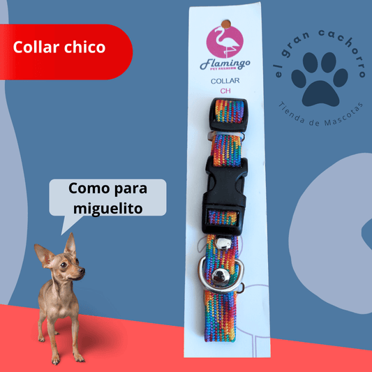 Collar Chico varios estilos