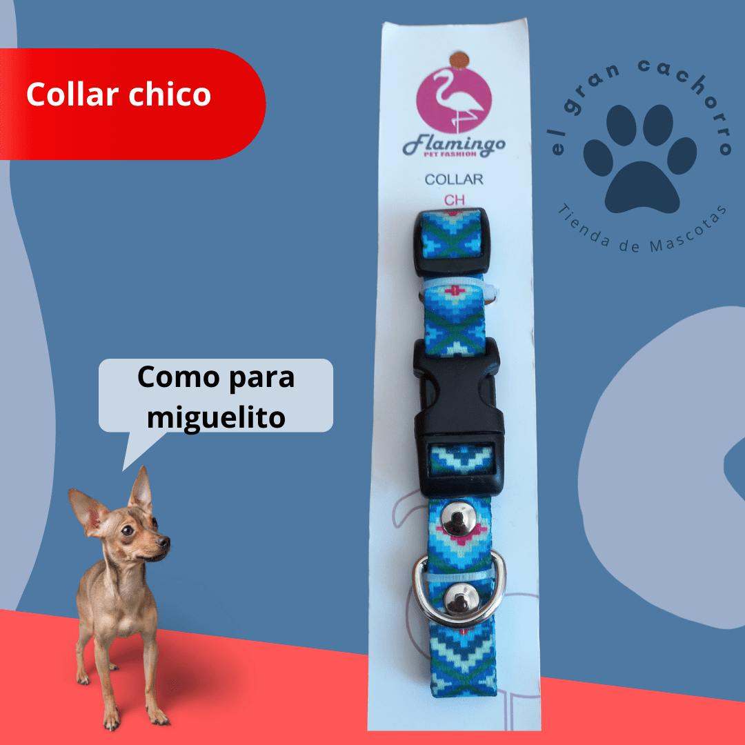 Collar Chico varios estilos