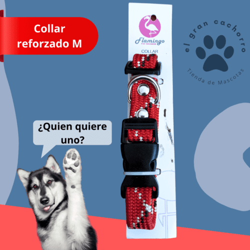 Collar reforzado Mediano varios estilos