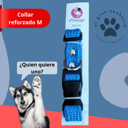 Collar reforzado Mediano varios estilos