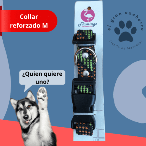 Collar reforzado Mediano varios estilos