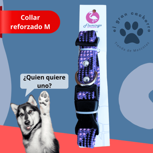 Collar reforzado Mediano varios estilos