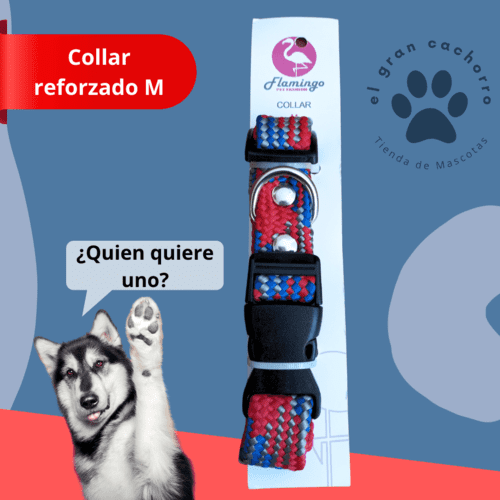 Collar reforzado Mediano varios estilos