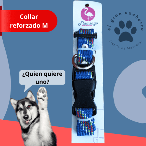 Collar reforzado Mediano varios estilos