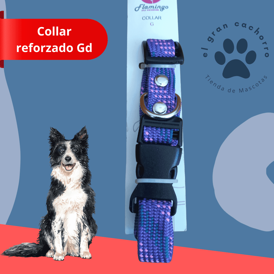 Collar reforzado Grande varios estilos