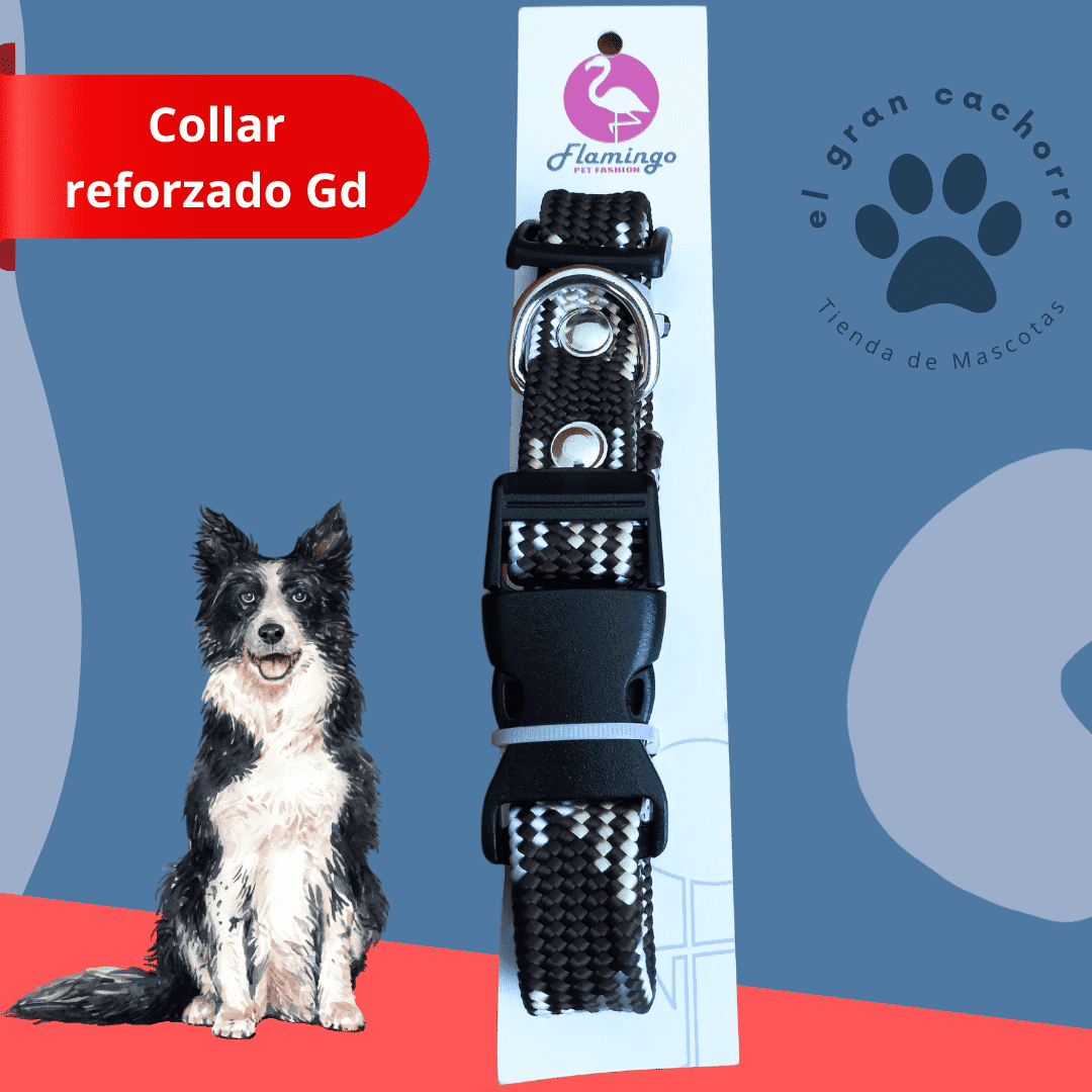 Collar reforzado Grande varios estilos